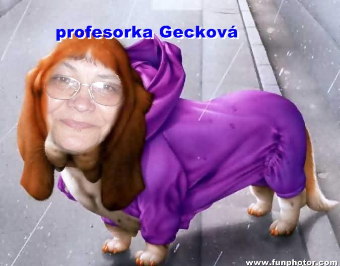 gecková.jpg